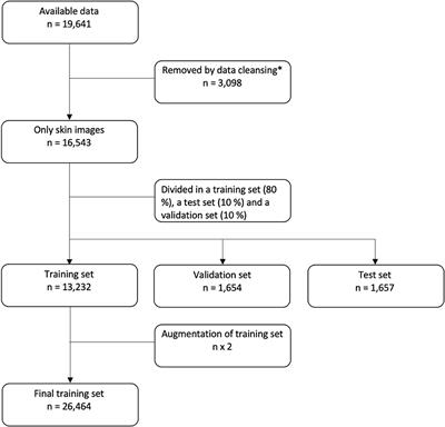 Deep Learning for Diagnostic Binary Classification of Multiple-Lesion Skin Diseases